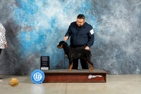 Rottweiler #12 Sat PG1 Judge Judy Wade r