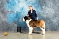 St Bernard #7 Thurs G4 Judge Charles Olvis r2