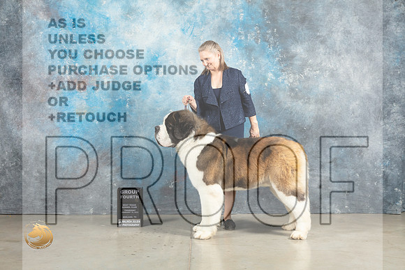 St Bernard #7 Thurs G4 Judge Charles Olvis r2_MJ_2625_Midland2023_HR3