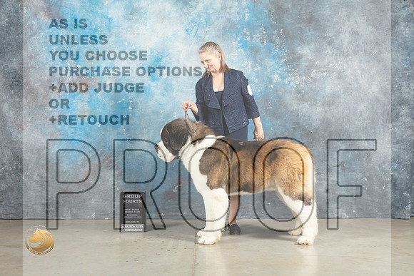 St Bernard #7 Thurs G4 Judge Charles Olvis r2_MJ_2628_Midland2023_HR3