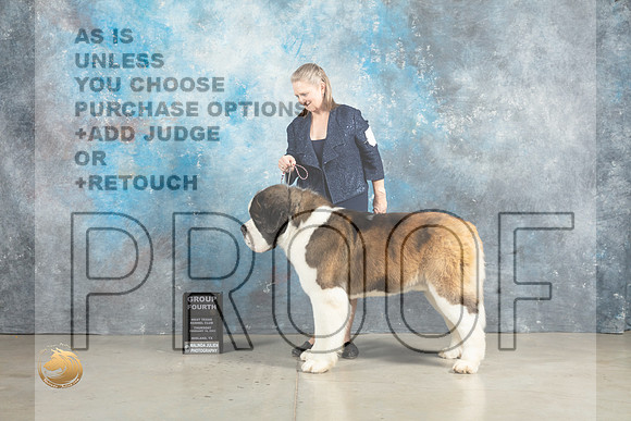 St Bernard #7 Thurs G4 Judge Charles Olvis r2_MJ_2631_Midland2023_HR3
