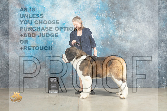 St Bernard #7 Thurs G4 Judge Charles Olvis r2_MJ_2632_Midland2023_HR3