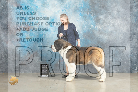 St Bernard #7 Thurs G4 Judge Charles Olvis r2_MJ_2633_Midland2023_HR3