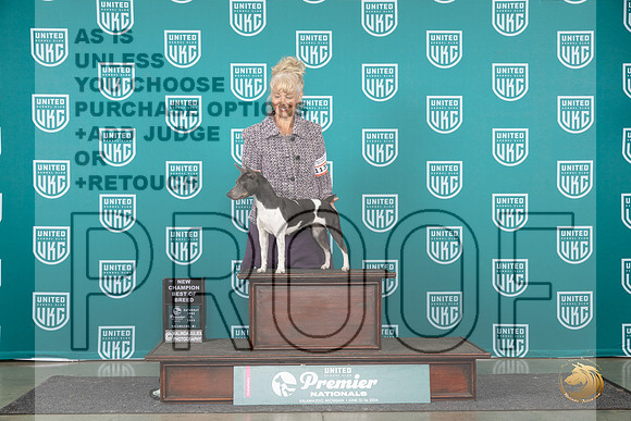 Rat Terrier #1139 Sat Judge Corianna Glen__JP_2312_Premier_2024_HR3