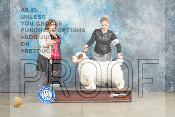 Clumber Spaniel #5 Sun G2 Judge Elizabeth Muthard_MJ_2693_Midland2023_HR3