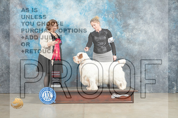 Clumber Spaniel #5 Sun G2 Judge Elizabeth Muthard_MJ_2695_Midland2023_HR3