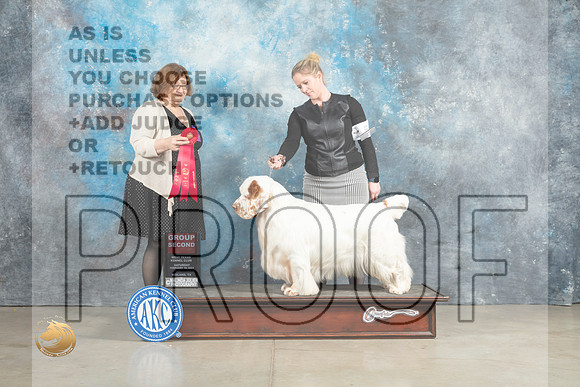 Clumber Spaniel #5 Sun G2 Judge Elizabeth Muthard_MJ_2698_Midland2023_HR3