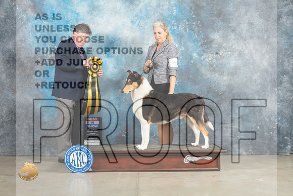 Collie Smooth #5 Sun BIS Judge Charles Olvis_MJ_2927_Midland2023_HR3