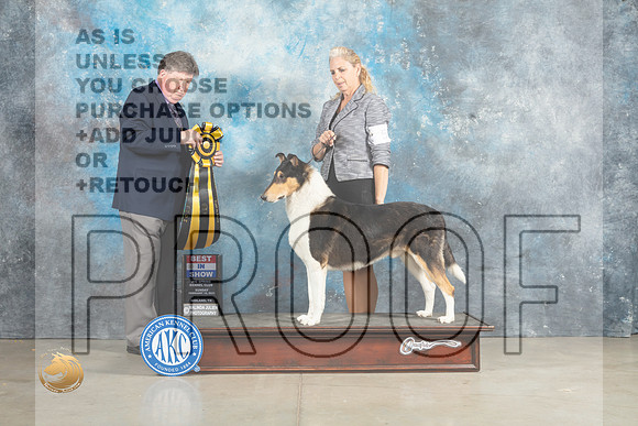 Collie Smooth #5 Sun BIS Judge Charles Olvis_MJ_2930_Midland2023_HR3