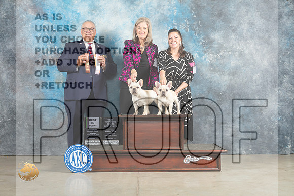 French Bulldog #12 #27 BOS BOB Judge John Lucas_MJ_2674_Midland2023_HR3