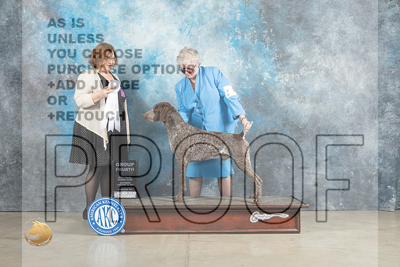 German Shorthaired Pointer #5 Sun G4 Judge Elizabeth Muthard_MJ_2711_Midland2023_HR3