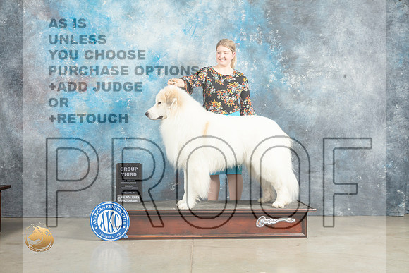 Great Pyrenees #5 Sun G3 Judge John Lucas_MJ_2785_Midland2023_HR3
