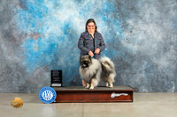 Keeshonde #5 Sun OHG4 Judge Elizabeth Muthard