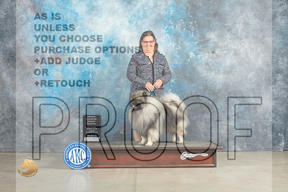Keeshonde #5 Sun OHG4 Judge Elizabeth Muthard_MJ_2874_Midland2023_HR3