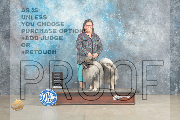 Keeshonde #5 Sun OHG4 Judge Elizabeth Muthard_MJ_2882_Midland2023_HR3