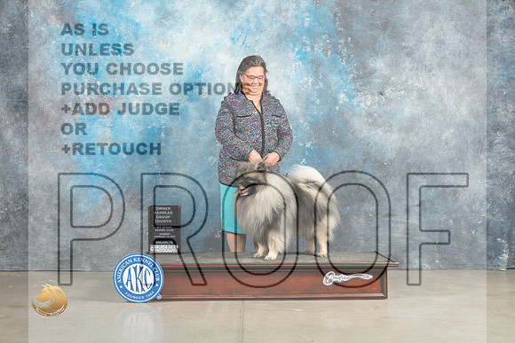 Keeshonde #5 Sun OHG4 Judge Elizabeth Muthard_MJ_2883_Midland2023_HR3