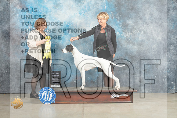 Pointer #12 Sun G3 Judge Elizabeth Muthard_MJ_2701_Midland2023_HR3