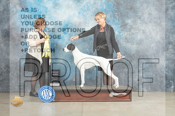 Pointer #12 Sun G3 Judge Elizabeth Muthard_MJ_2703_Midland2023_HR3