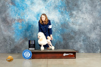 Poodle Miniature #20 Sun BOV Judge Jon Cole