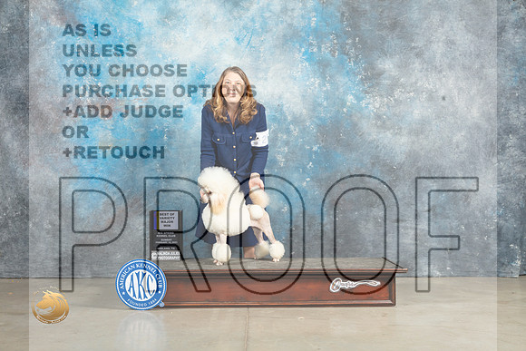 Poodle Miniature #20 Sun BOV Judge Jon Cole_MJ_2871_Midland2023_HR3