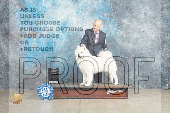 Samoyed #16 Sun OHG3 Judge Judy Wade_MJ_2808_Midland2023_HR3