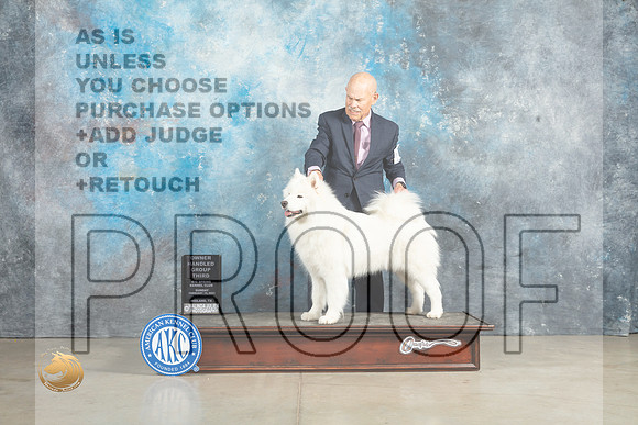 Samoyed #16 Sun OHG3 Judge Judy Wade_MJ_2810_Midland2023_HR3