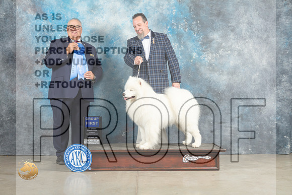 Samoyed #7 Sun G1 Judge Joh Lucas_MJ_2756_Midland2023_HR3