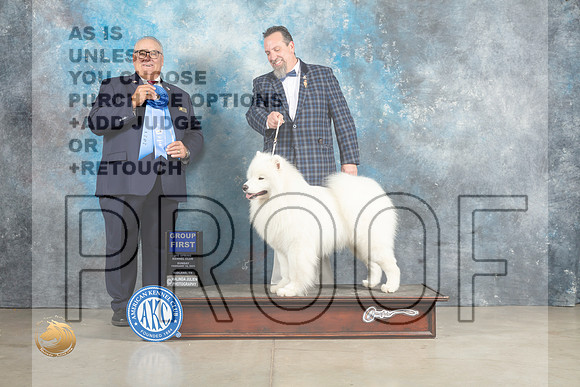 Samoyed #7 Sun G1 Judge Joh Lucas_MJ_2757_Midland2023_HR3