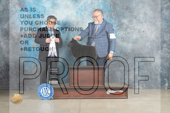 Schipperke #5 Sun G4 Judge Elizardo Valadez_MJ_2844_Midland2023_HR3