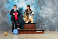 Tibetan Spaniel #5 Sun G2 Judge Elizardo Valadez