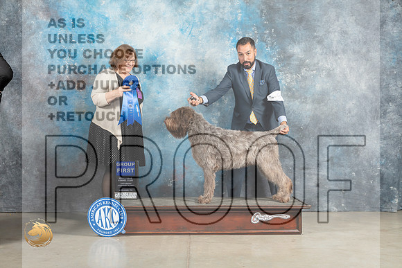 Wirehaired Pointer #9 Sun G1 Judge Elizabeth Muthard_MJ_2682_Midland2023_HR3
