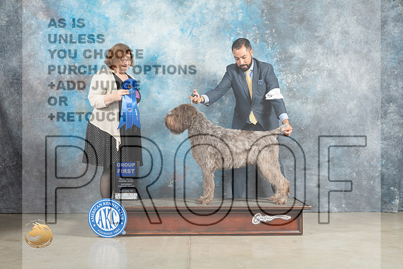 Wirehaired Pointer #9 Sun G1 Judge Elizabeth Muthard_MJ_2688_Midland2023_HR3