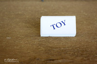 Toy Group Sun LR Houston Mar 2013