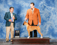 Boxer #6 Mon BOB McGee Howard and Sherry Judge Elizardo Valadez