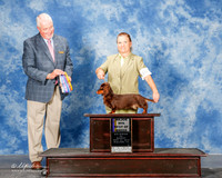 Dachsund #8 Mon Maj BOB Starnes Barbara Judge Steve Keating