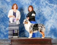 Australian Shepherd #23 Mon WD Jenkins Emma and Leon Goetz Judge Danelle Brown