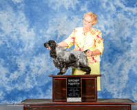 Cocker Spaniel Parti #6 Sat G4 Ellis Vanita and Jessica Legath and Phillip Ellis