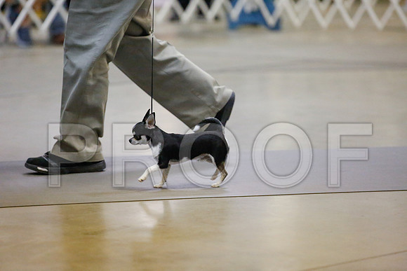 _JJ_8363-AmarilloSept2014-HR3