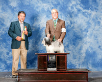 Havanese #6 Mon BOB Miller Sandi Agent Dan Haley Judge Elizardo Valadez