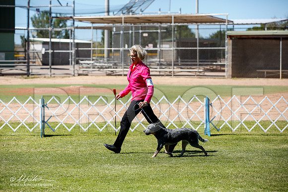 _JN_8914-AlamogordoOct2014-HR3