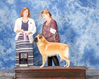 Belgian Tervuren #10 Mon Maj BOS Woodward Travis and Corlyn Burkett Judge Danelle Brown