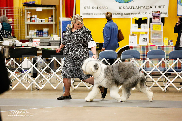_RH_2219-AddisonHuskyMar2015-HR3