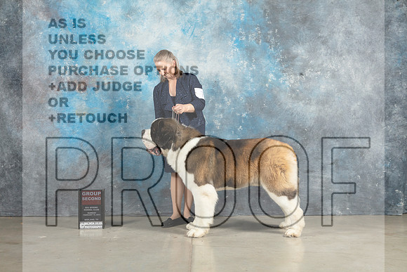 St Bernard #7 Sun G2 Judge John Lucas_MJ_2980_Midland2023_HR3