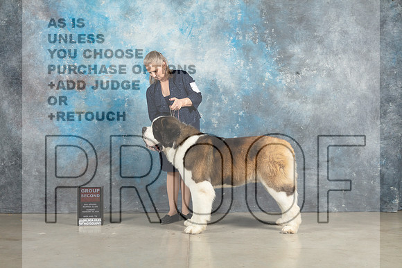St Bernard #7 Sun G2 Judge John Lucas_MJ_2984_Midland2023_HR3