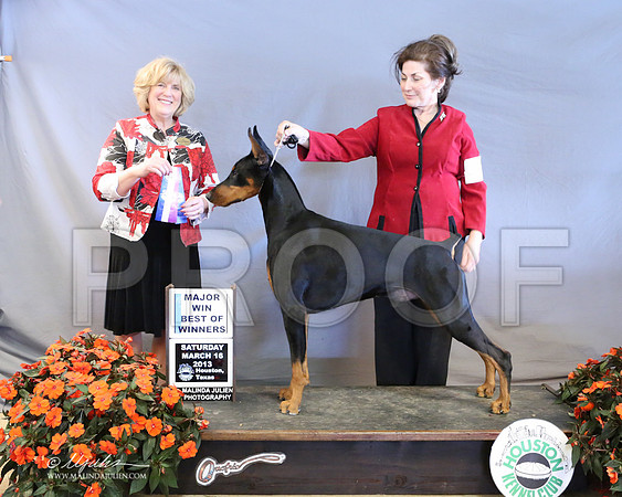 Dobe-8509-LR
