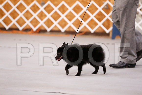 _RH_7479-CarlrolltonSept2014-HR3