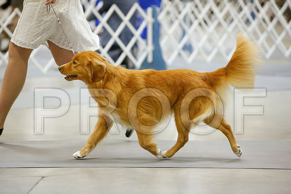 _JJ_6283-AmarilloSept2014-HR3