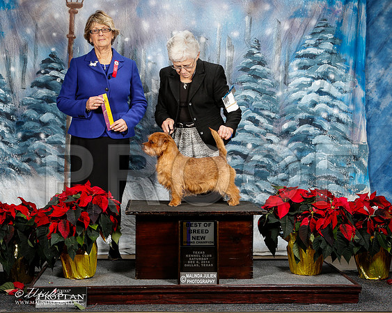 _ST_8820-2-DallasDec2014-HR3