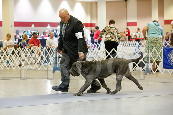 _JJ_1824-AmarilloSept2014-HR3
