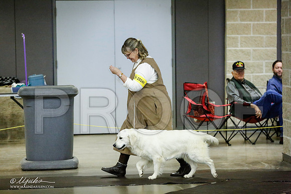 _RH_1061-BeltonJan2015IABCA-HR3